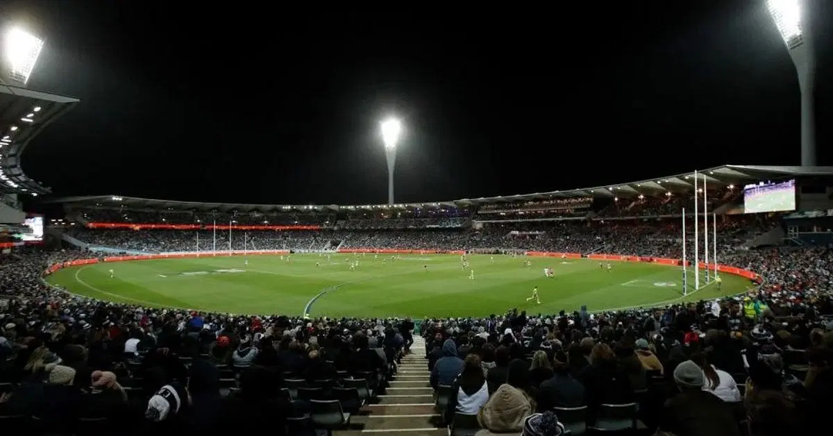 pitch report and analysis of simmonds stadium geelong australia